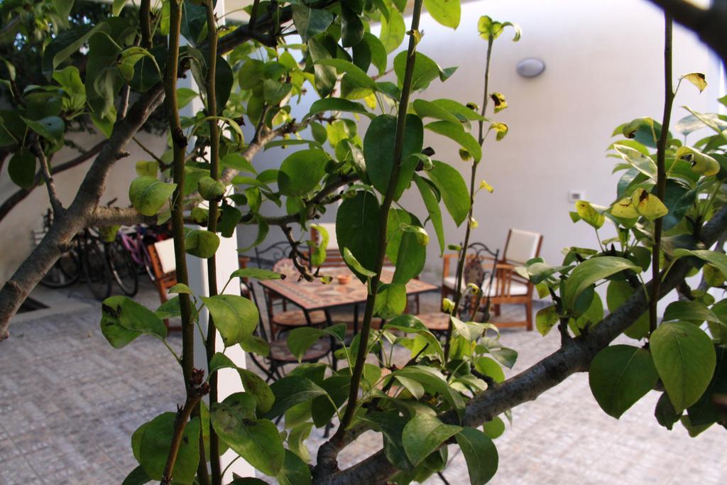 Bed and Breakfast Il Giardinetto Trapani Exteriér fotografie